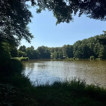 Rodinny 74 *